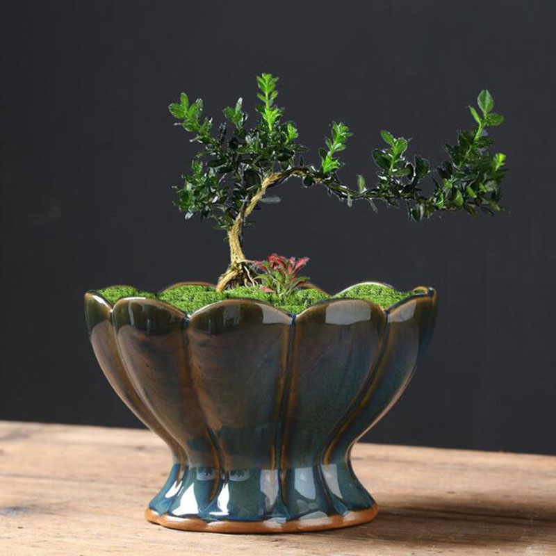 Kiln Transmutation Glazed Eggs - огляд і ціна Bonsai Garden Art